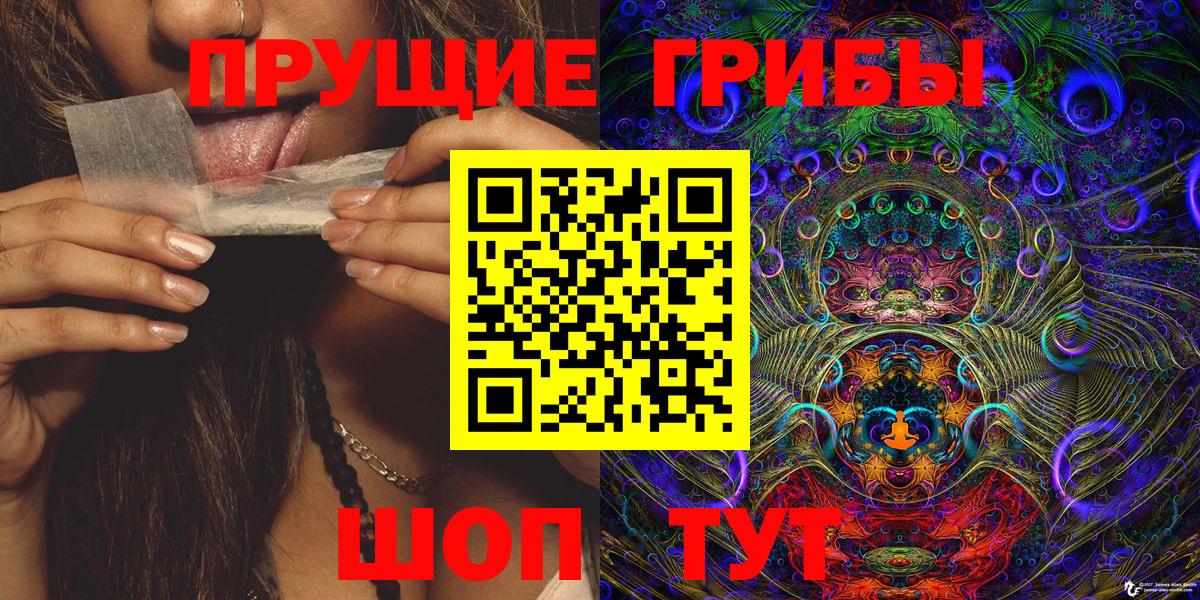 Галлюциногенные грибы прущие грибы Богданович