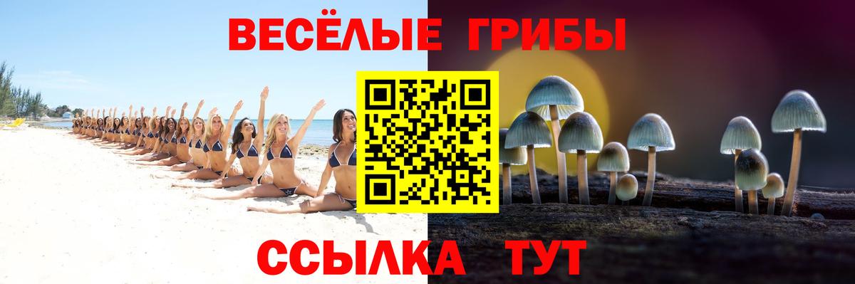 Богданович  Галлюциногенные грибы ЛСД  Вход с VPN  сколько стоит  Псилоцибиновые грибы ЛСД 